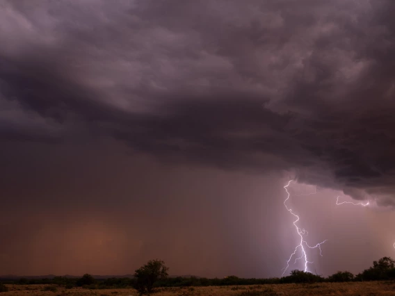 Wendy Islas - Monsoon Magic, Sonoita, AZ, 2023