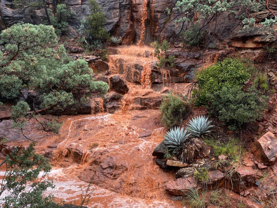 Chad Kwiatkowski - Wilson Canyon Waterfall, Sedona, AZ 2021