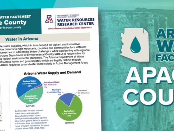 apache county graphic image showing canyon de chelley