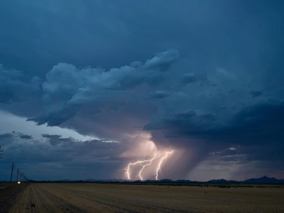 Jim Muntz - Passing By, Marana, AZ, 2023