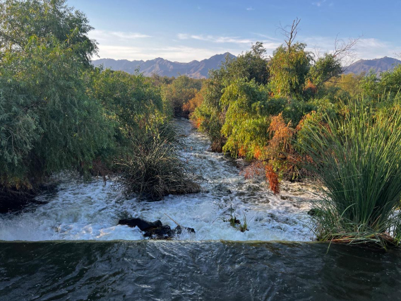 Wilzave Quilesguzman - Hope in Water Management, Phoenix, AZ, 2023