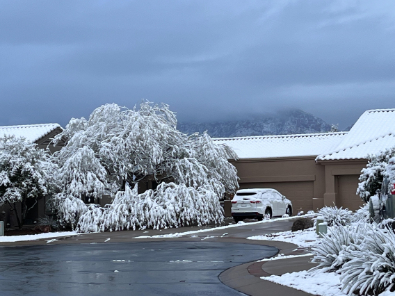 Dawn Walker - March Snow, Oro Valley, AZ, 2023