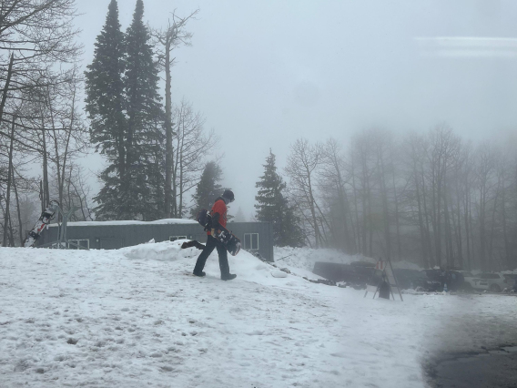 Alex Winter - Walking Through Misty Mountain