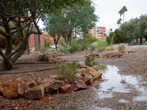 water collection on ua campus