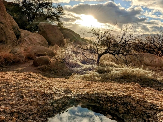 Sean Clark - Centuries 2023 Texas-Canyon Nature Preserve