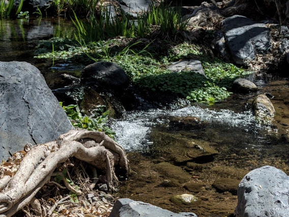 photo of a river or stream with rocks on the edge