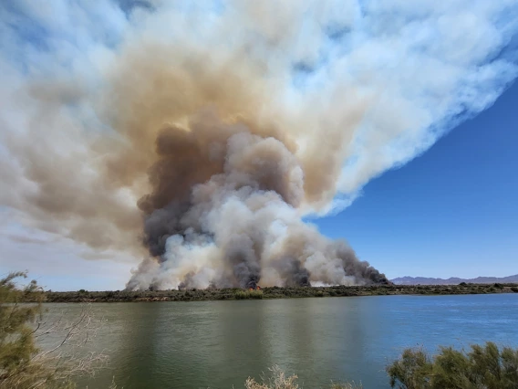 photo of a fire on the edge of a lake