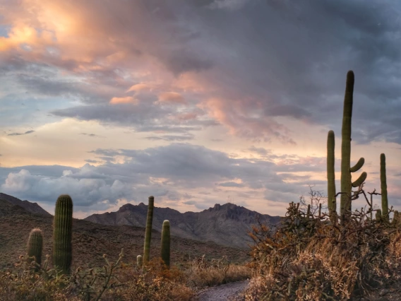 a trail in the desert with a colorful cloudy sky