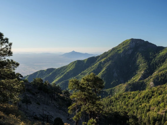 a photo showing Mt. Mitchell looking very green