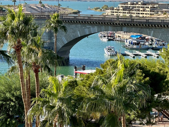 photo of lake havasu showing water, palm trees, and a bridge