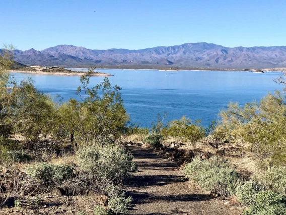 a photo showing a path leading to the edge of lake pleasant