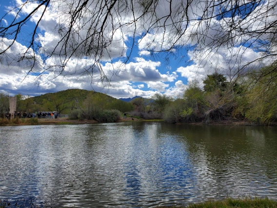 photo showing a lake and an event on the edge of the lake. white clouds and blue sky