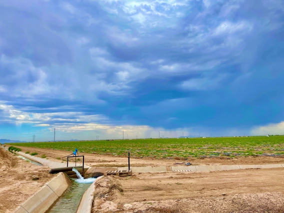 photo showing an agricultural canal in a field with crops growing in background. Cloudy sky and rain in the background as well