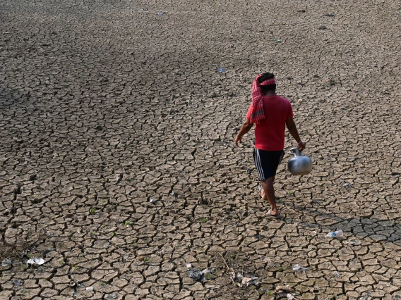 photo of a person walking on cracked earth with a water vessel in their hand 