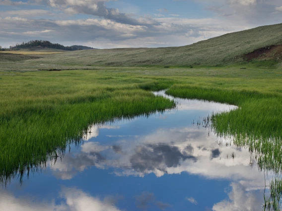 photo showing burro creek with green grass banks and reflected blue sky and clouds