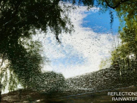 a rainwater pond showing a reflection of the blue sky and white clouds