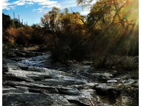 photo showing rocks and water at sabino canyon