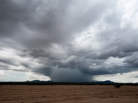 clouds and rain in a field