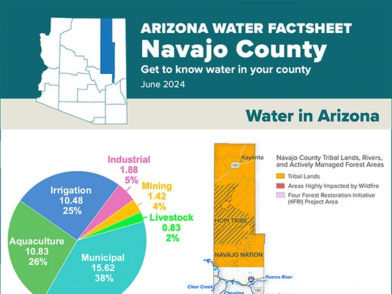navajo factsheet image
