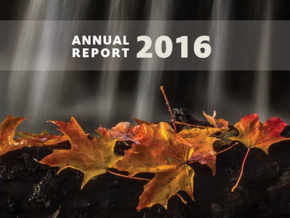 annual report 2016 cover 2016