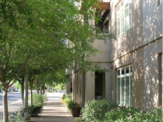 City of Phoenix Code Review to Promote Green Infrastructure: Case Study