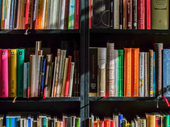 a bookshelf with books