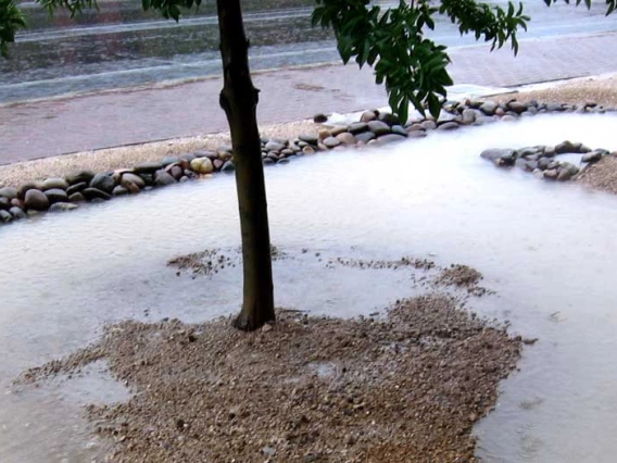 harvesting water on the UA campus