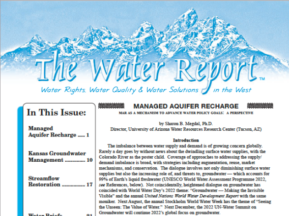 report cover with snowcapped mountains