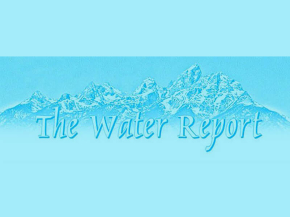 The Water Report Cover