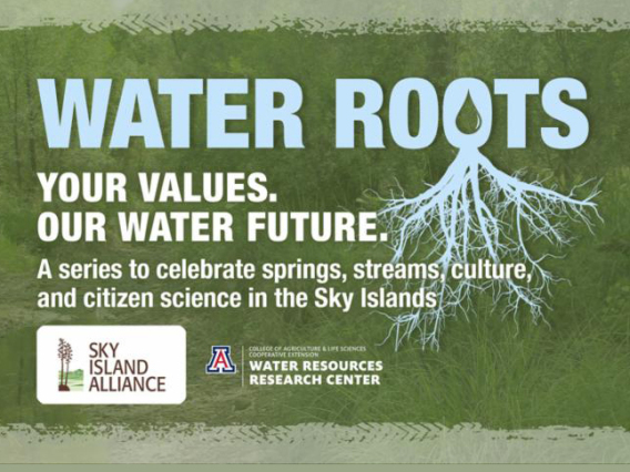 water roots graphic