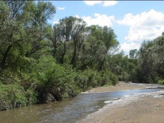 Santa Cruz River at Tumacacori National Historical Park