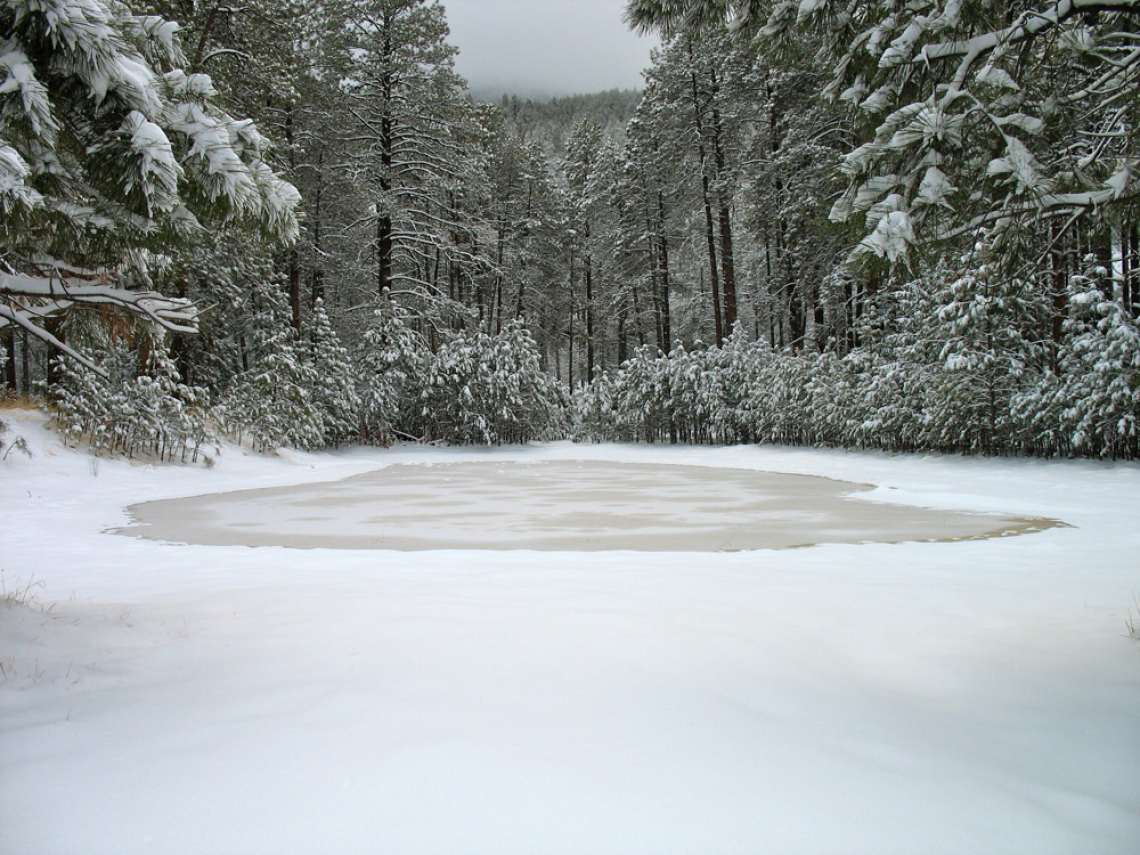 Heath Brown - Frozen After Storm, Dry Lake Mt. Graham