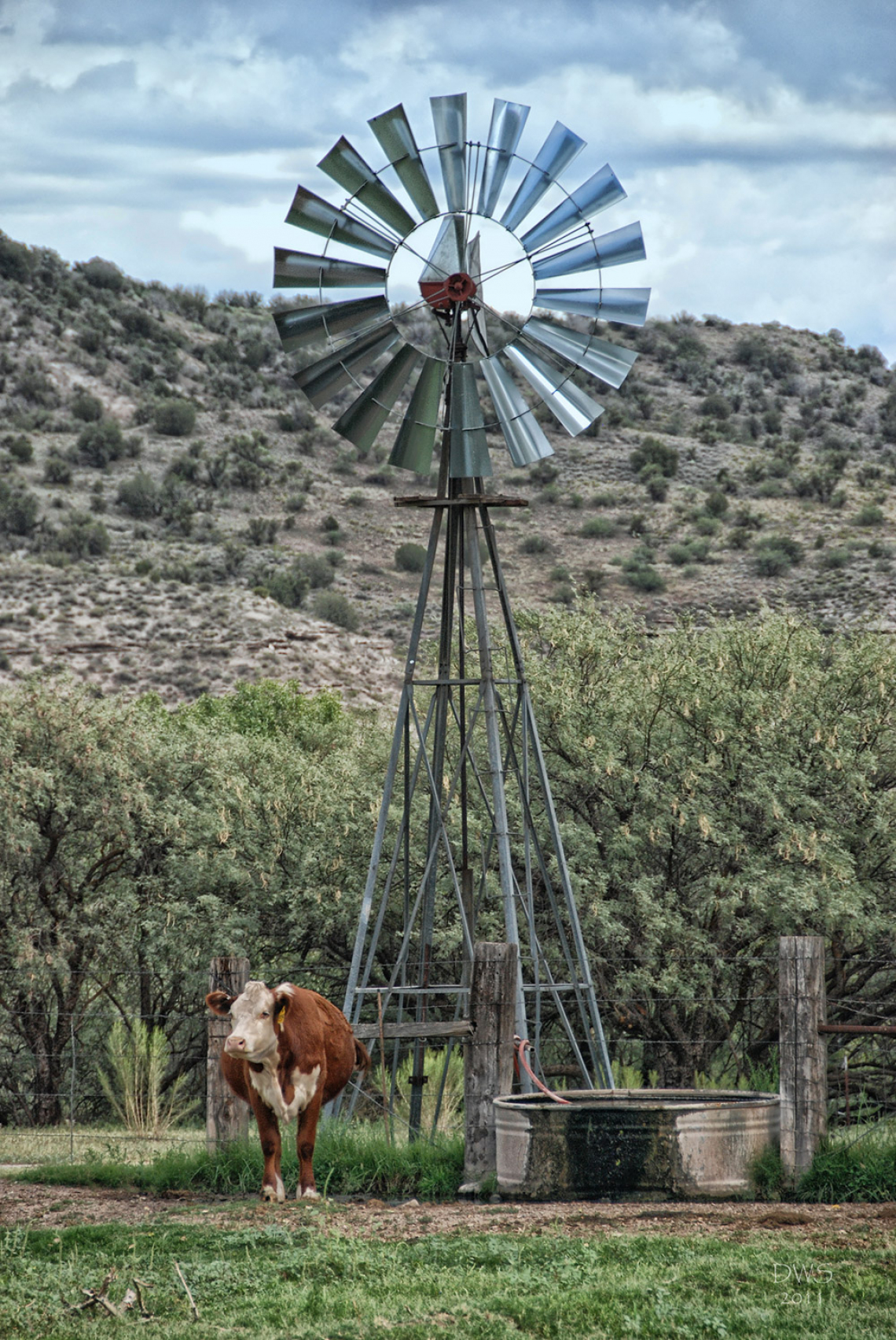 David Schafer - Waiting by the Windmill, Camp Verde