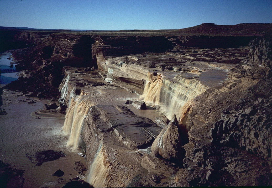 Michael Nelson - Grand Falls, AZ