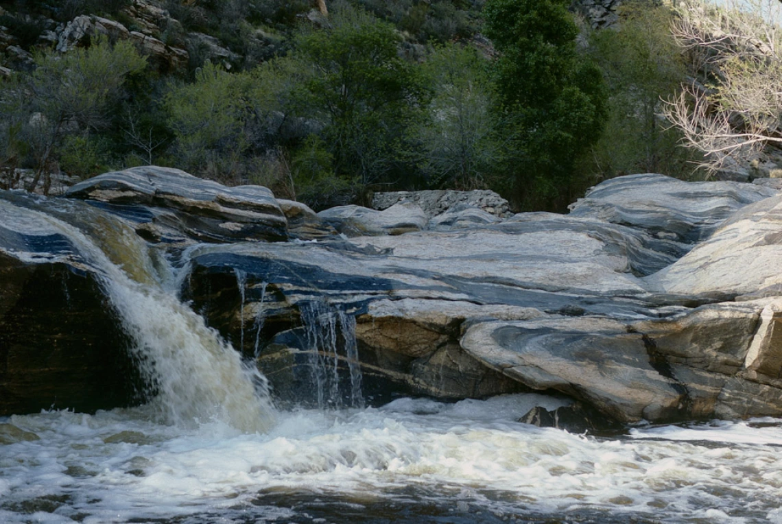 Michael Nelson - Little Colorado Canyon, Springerville