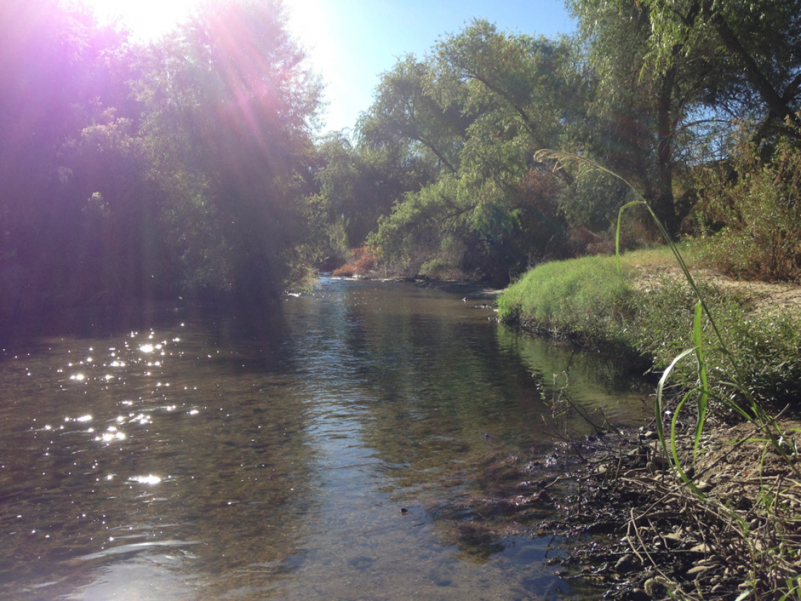 Louis Shanley - Living River of Words, Santa Cruz River at Silverbell District Park