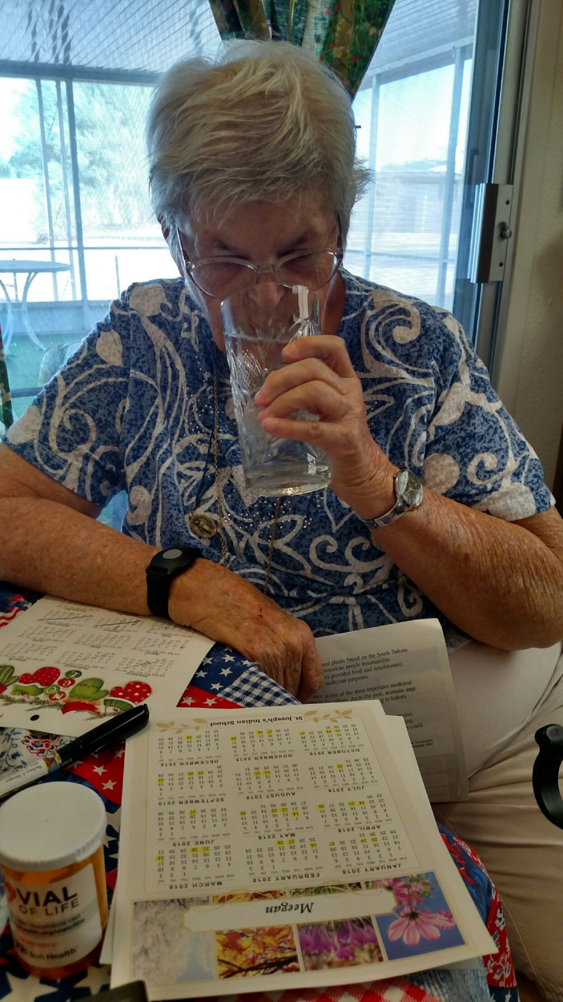 Anne-Marie Meegan - Mrs. Barbara A Meegan, Navy Veteran drinking Arizona water from Libby glass