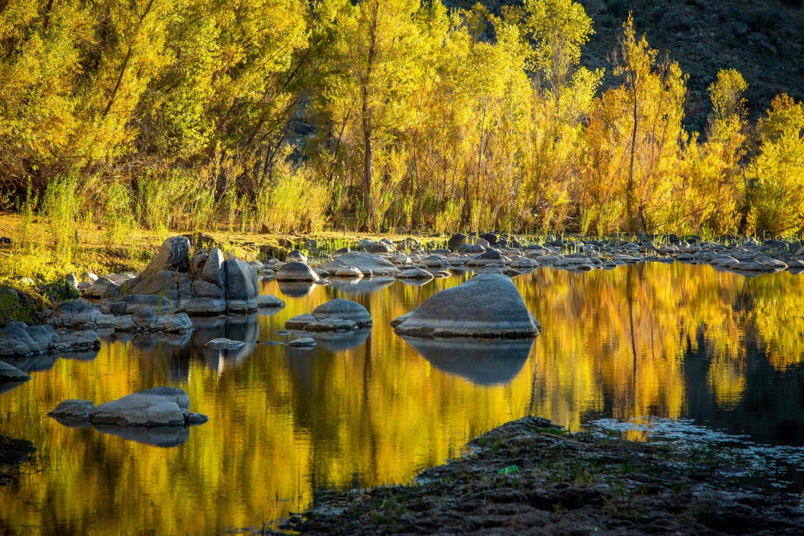 Justin Clifton - Golden Light 2020 Burro Creek