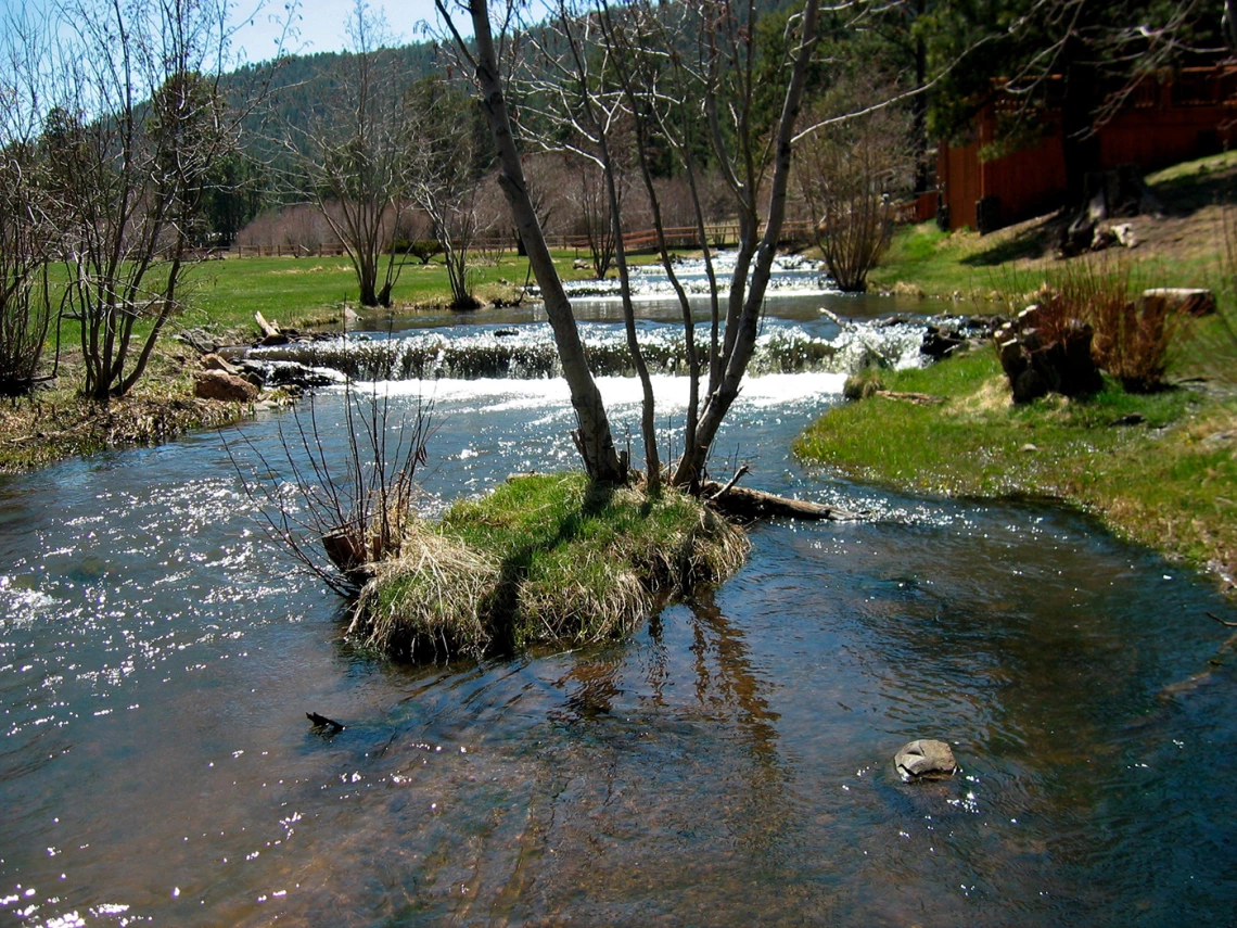 Annette Coffey - Stream Greer AZ 2008