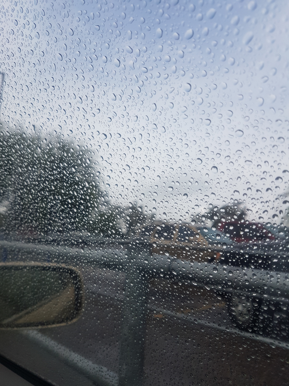 Ranjbar Fatemeha - Rainy day in Tucson