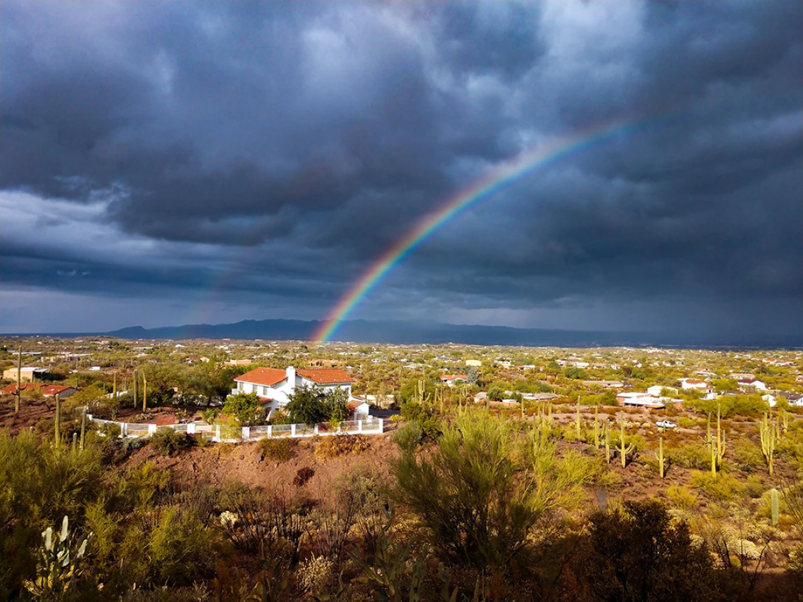 Ainsley Fraser - After Rain 2020 Tucson