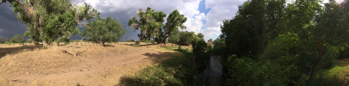 Olga Hart - Santa Cruz River Prepares For Rain 2018 Rio Rico