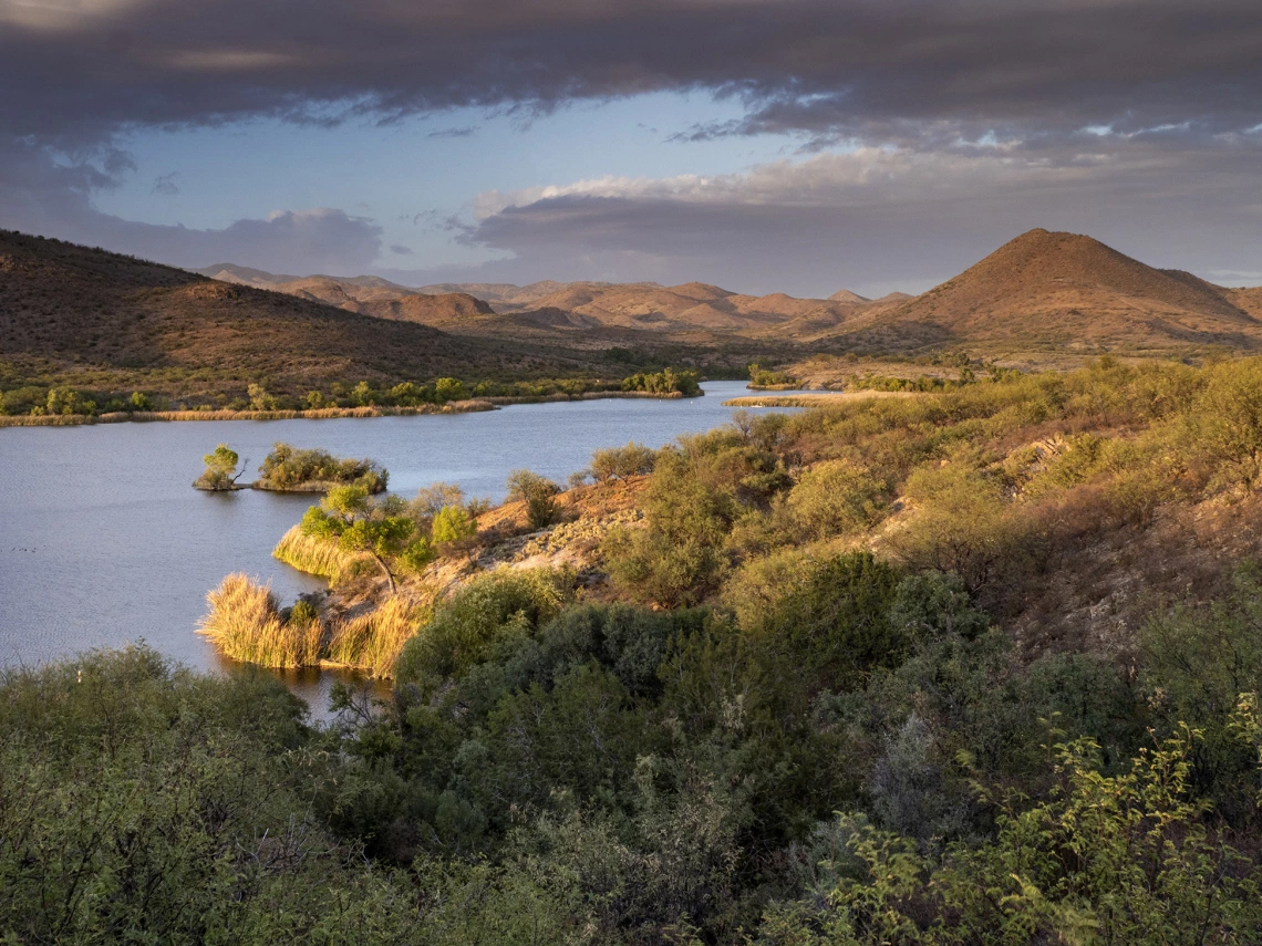 Colleen Miniuk - Sonoita Creek 2020 