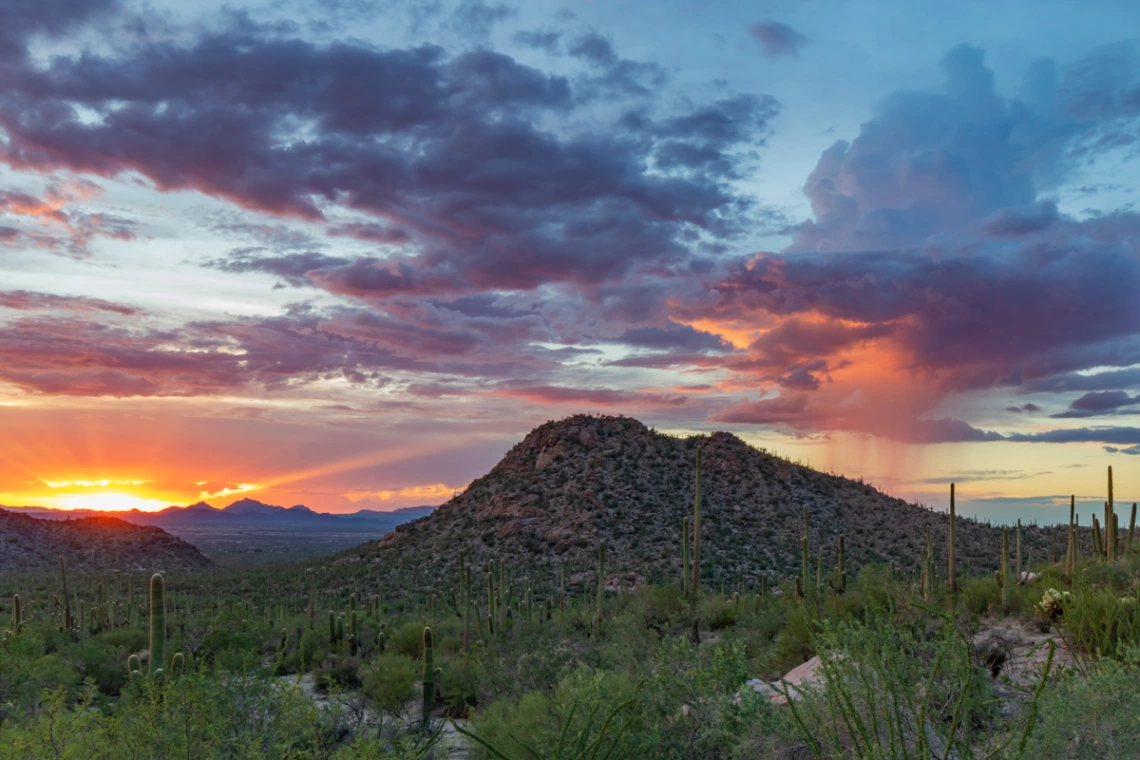 Mark Navarro - Pink water from the sky - Saguaro Nation Park West