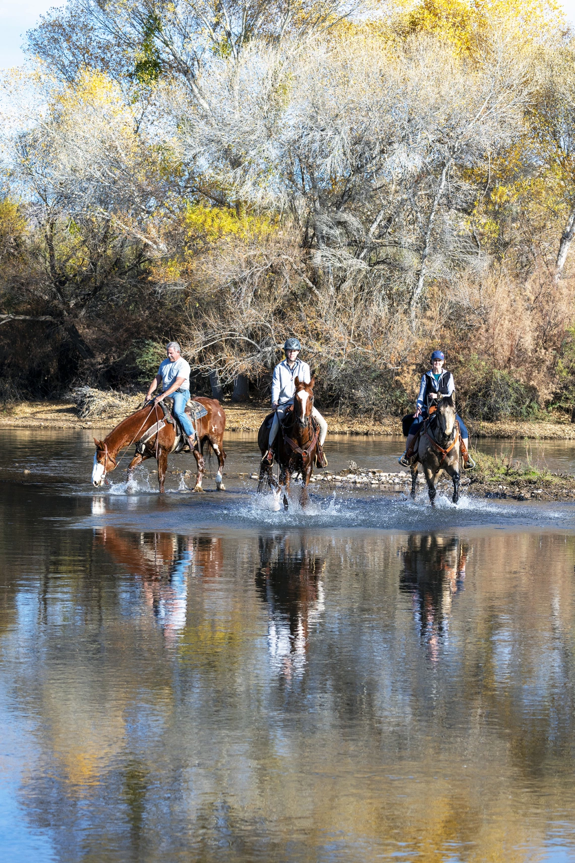 Malcolm Patten - Verde River Horses 2021 Rio Verde