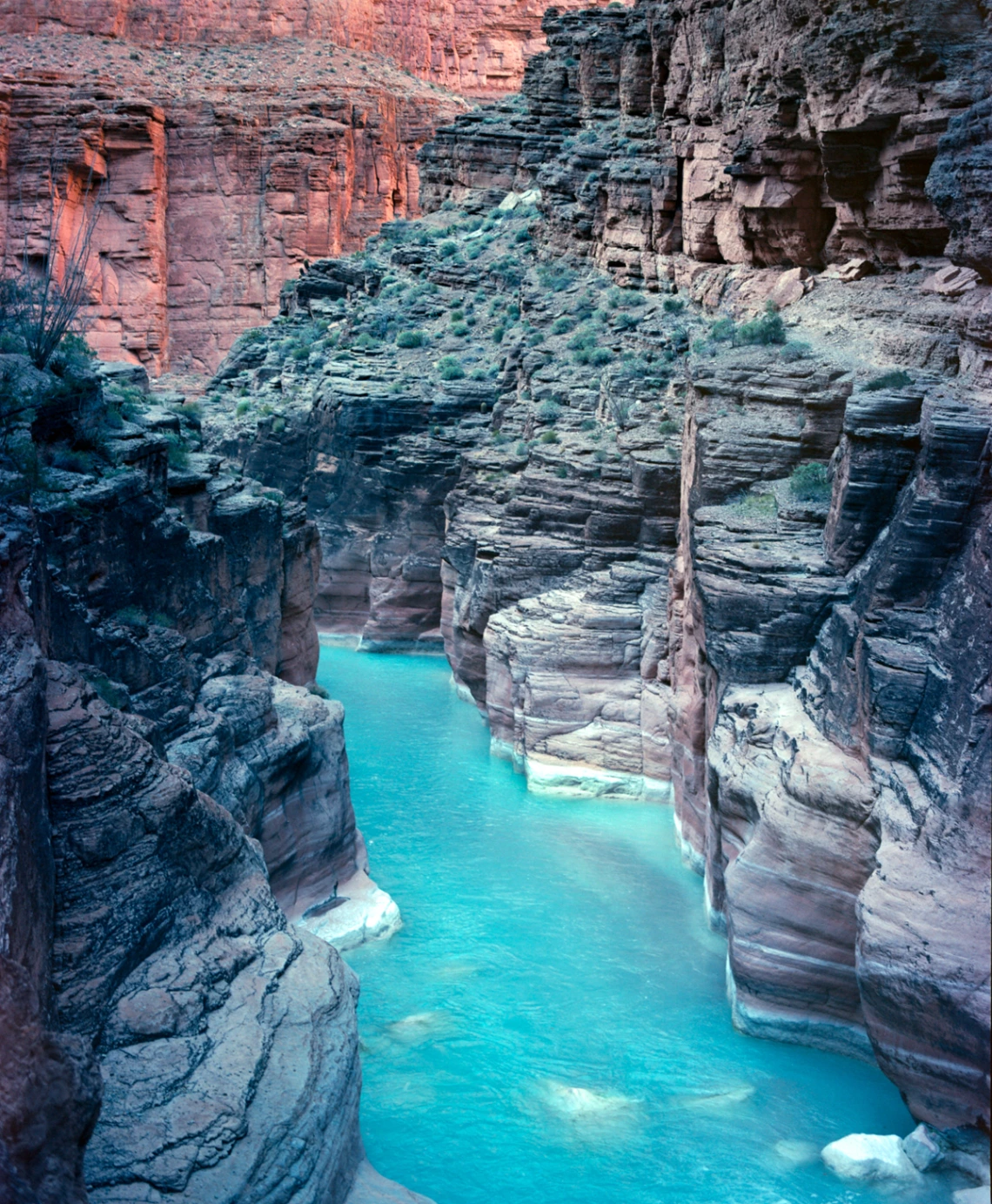 Alec Robinson - Untitled - Havasu Creek