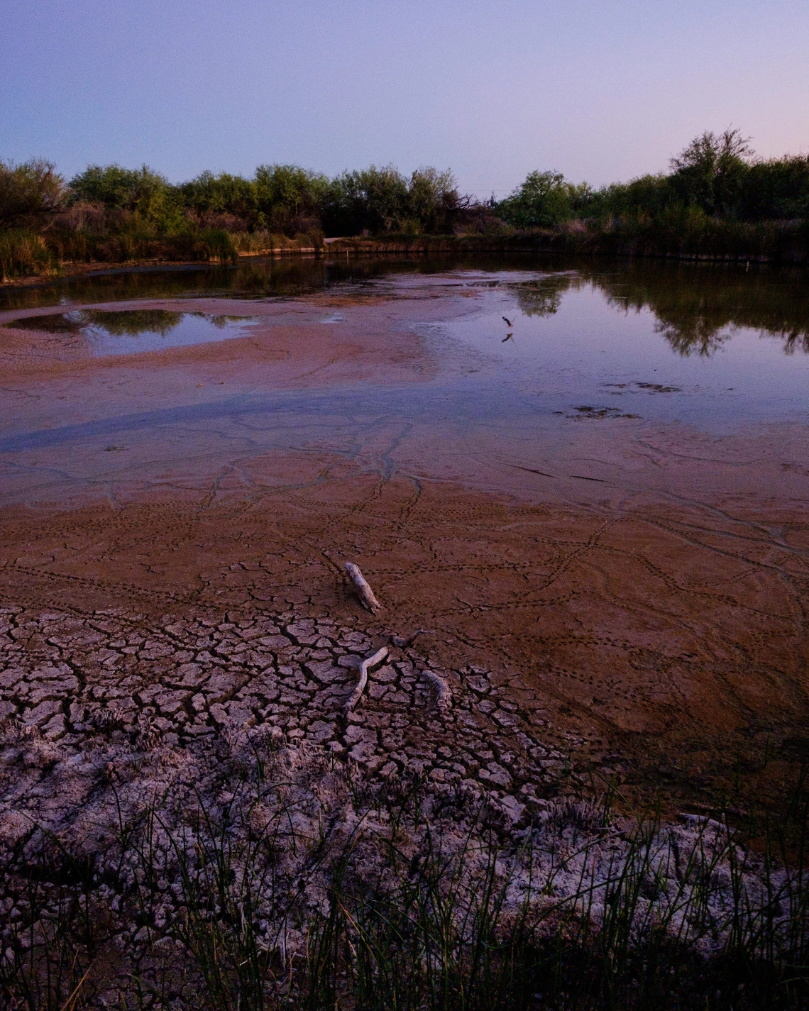 Julius Schlosburg - Quitobaquito Pond 2020