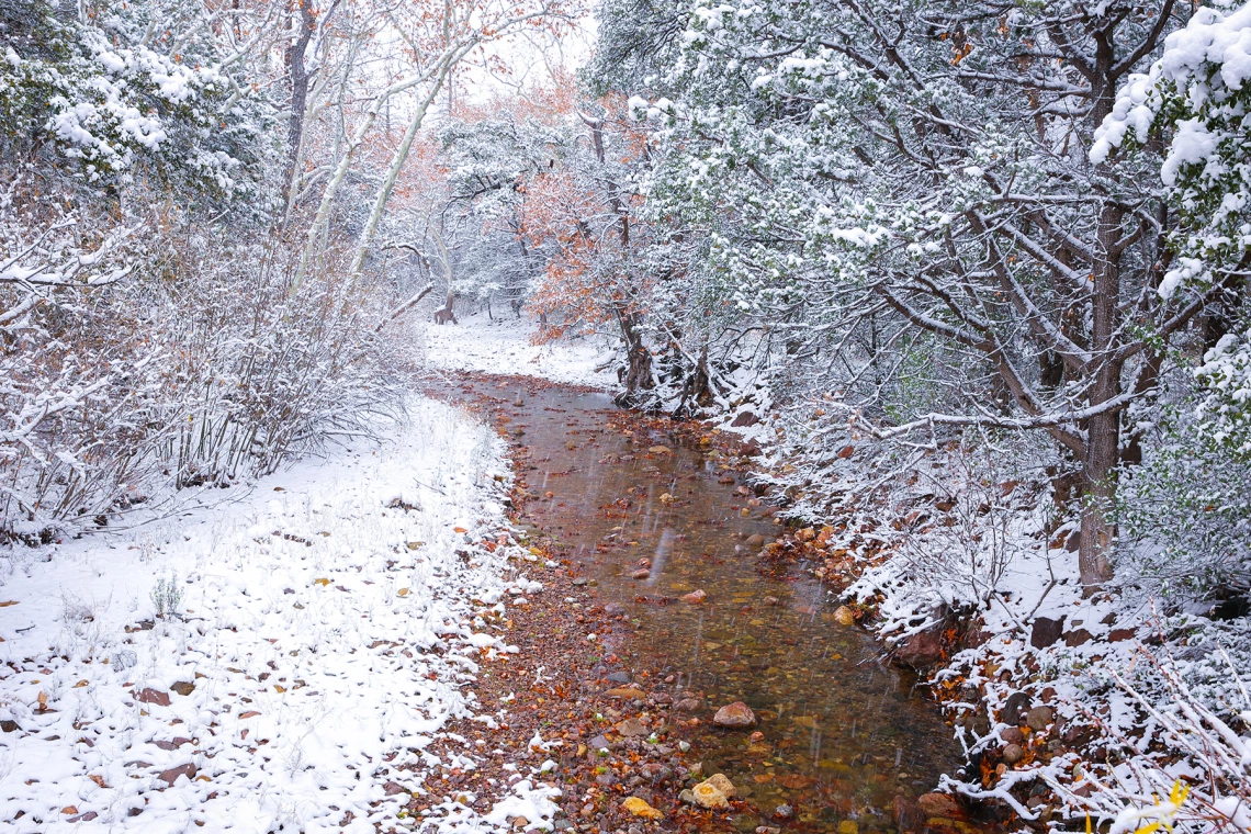 Sandy Shiloh - Cave Creek Snow 2019 Portal