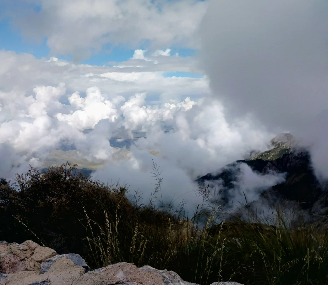 Tamara Holt - Head in the clouds - Madera Canyon 2019