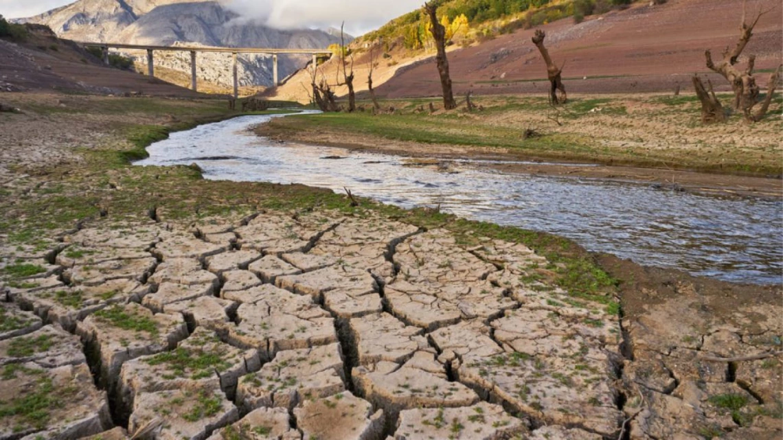 cracked earth image